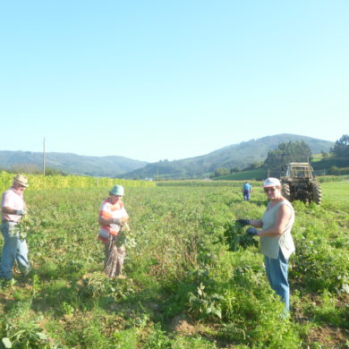 La familia trabaja unida