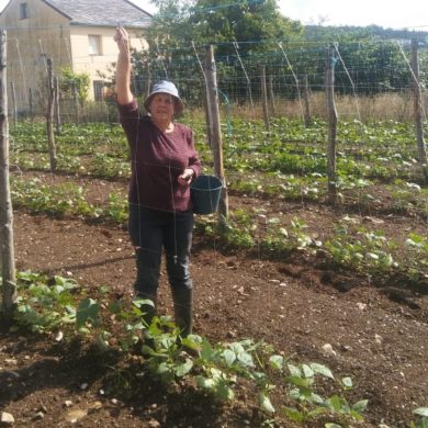 Rosario Iglesias-Candia González