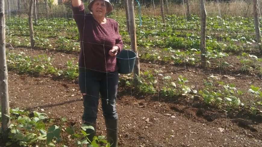 Rosario Iglesias-Candia González